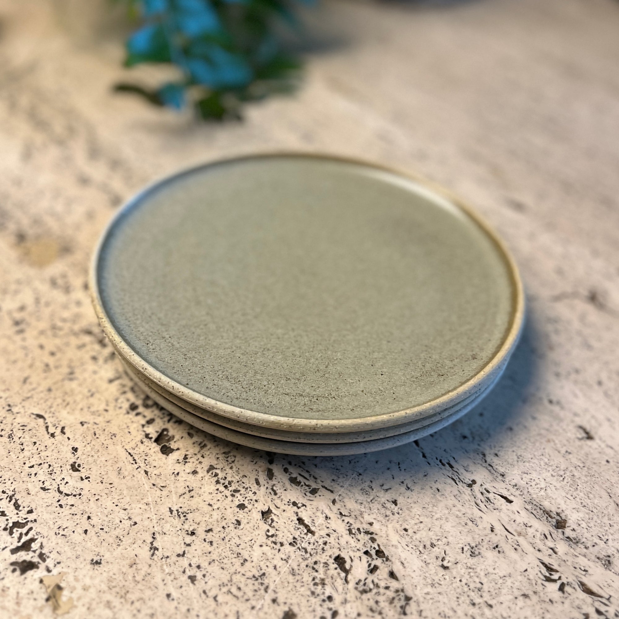 Dinner Plate by Arcadia Scott