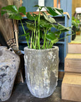 Tall Esna Planter