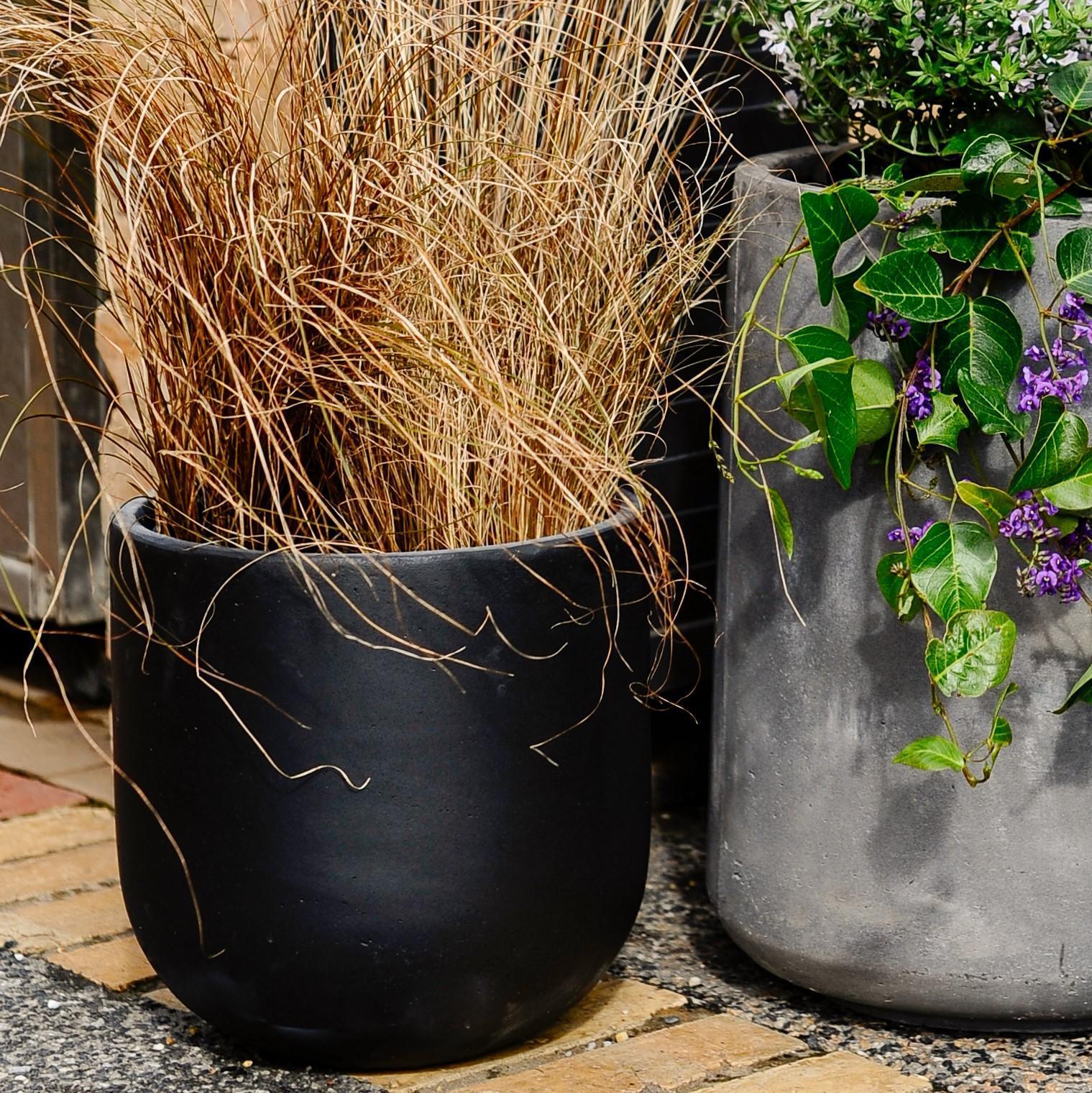 U-Planter - THE PLANT SOCIETY