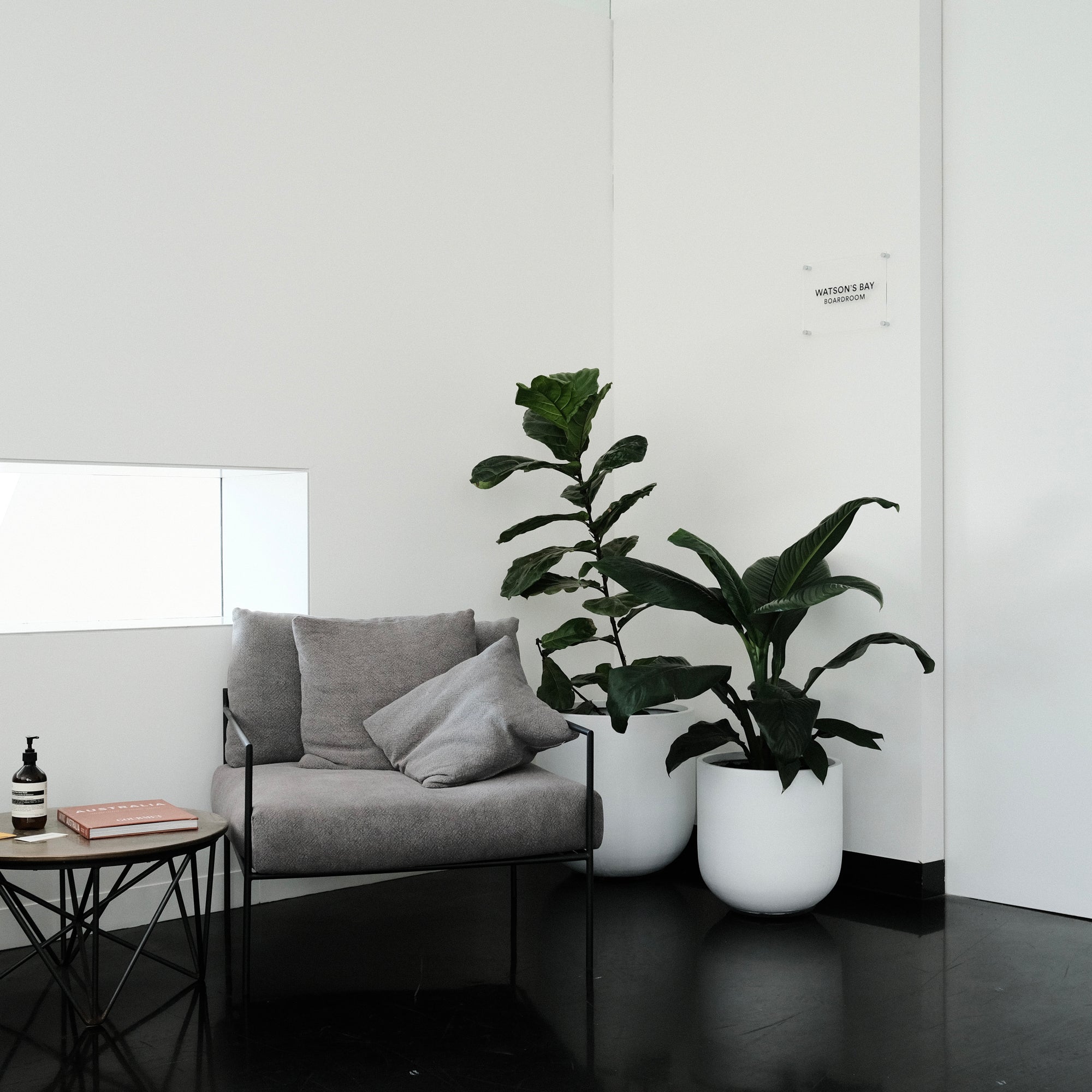 Peace Lily (Spathiphyllum)