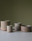 Oatmeal Fluted Planter by Arcadia Scott