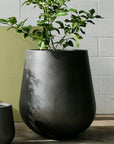 Tear Drop Planter - THE PLANT SOCIETY