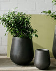 Tear Drop Planter - THE PLANT SOCIETY