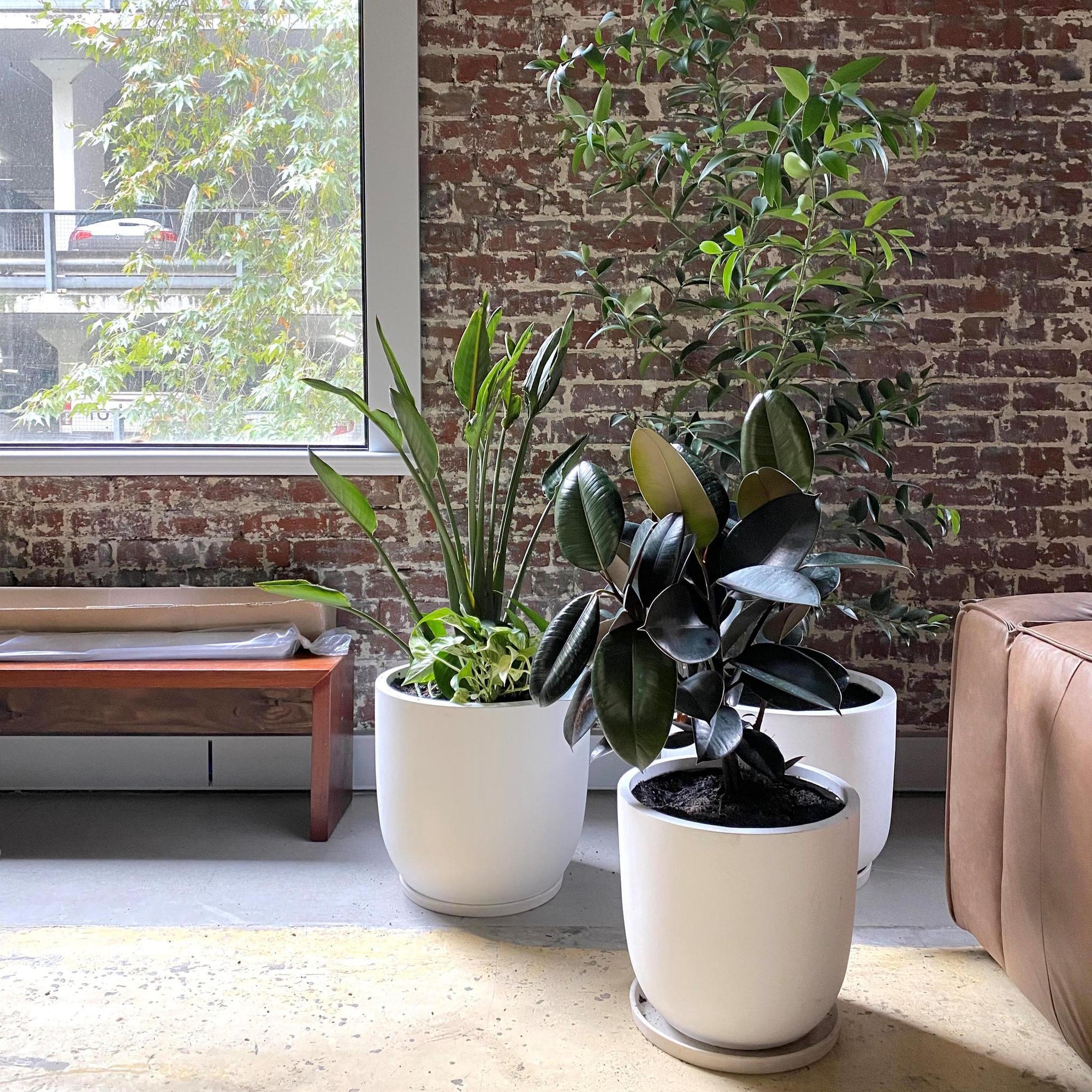 U-Planter - THE PLANT SOCIETY