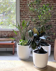 U-Planter - THE PLANT SOCIETY