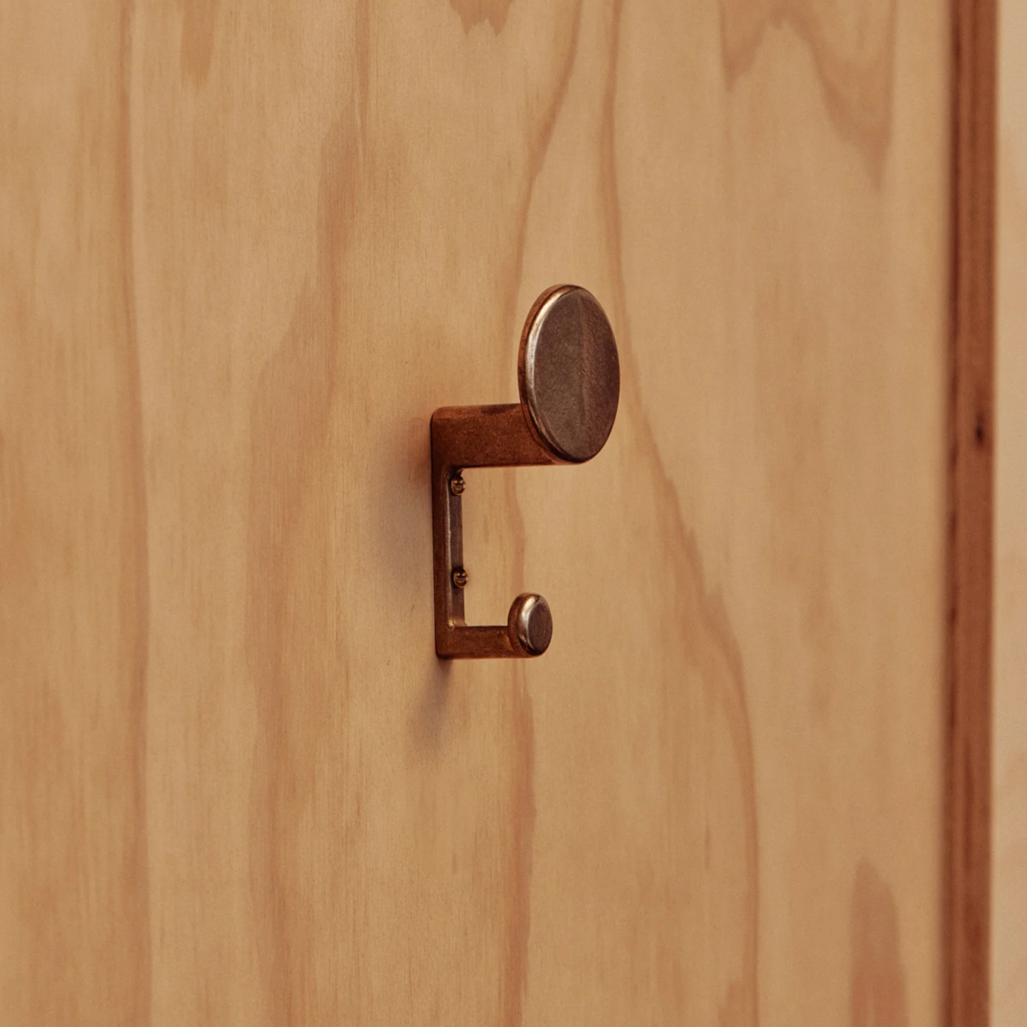 Wall Hook Brass by Henry Wilson – THE PLANT SOCIETY