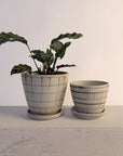Blue Check Planter by Sandra Bowkett