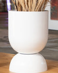 Extra Large Goblet Planter by Lightly