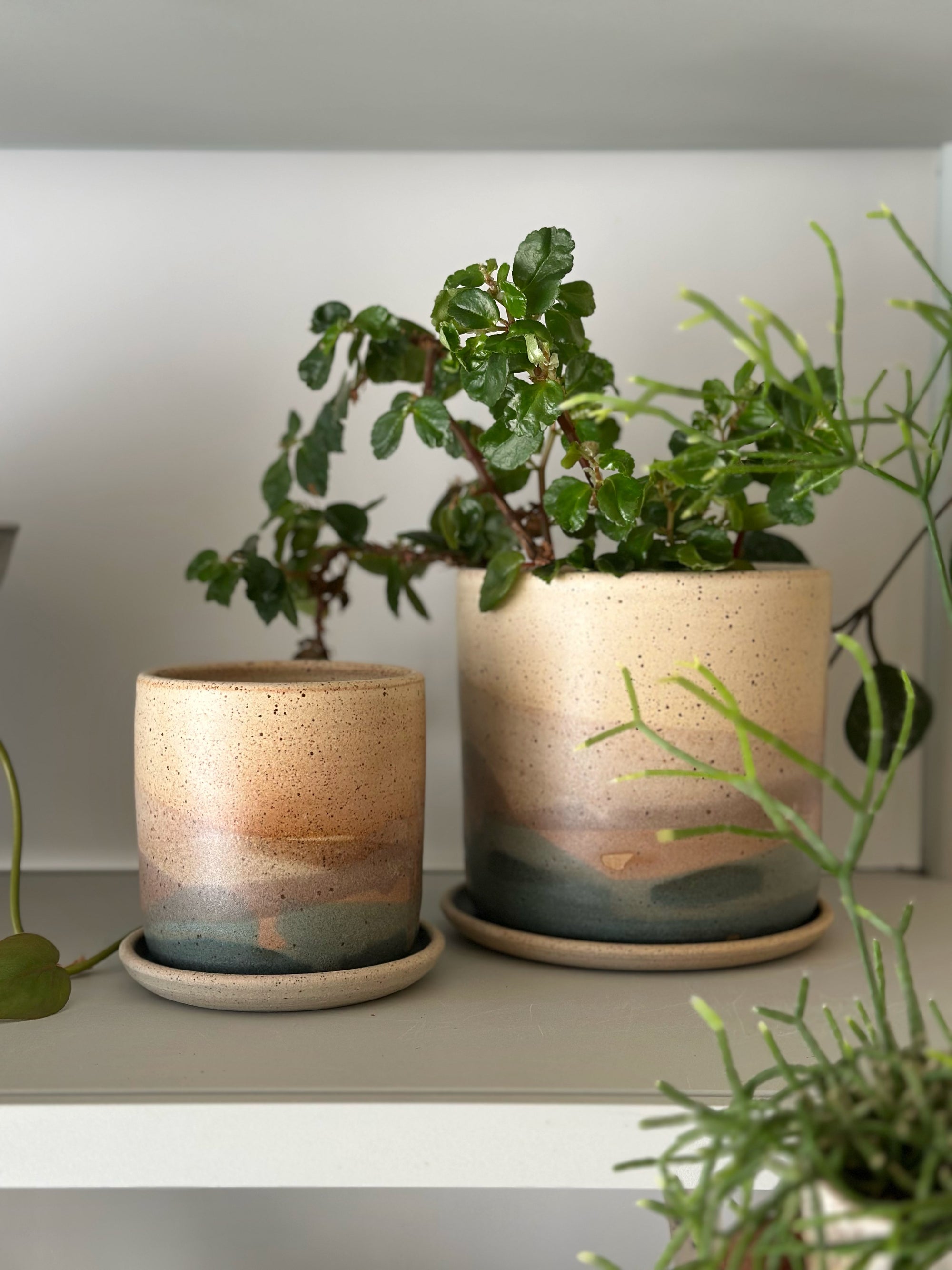 Fjord Landscape Planter by Arcadia Scott