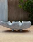 Dang Fango Planter by Buzzby & Fang