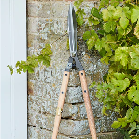 Hedge Shear by Sophie Conran