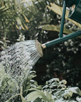 Large Green Metal Watering Can