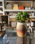 New Moon Planter by Peta Armstrong Ceramics