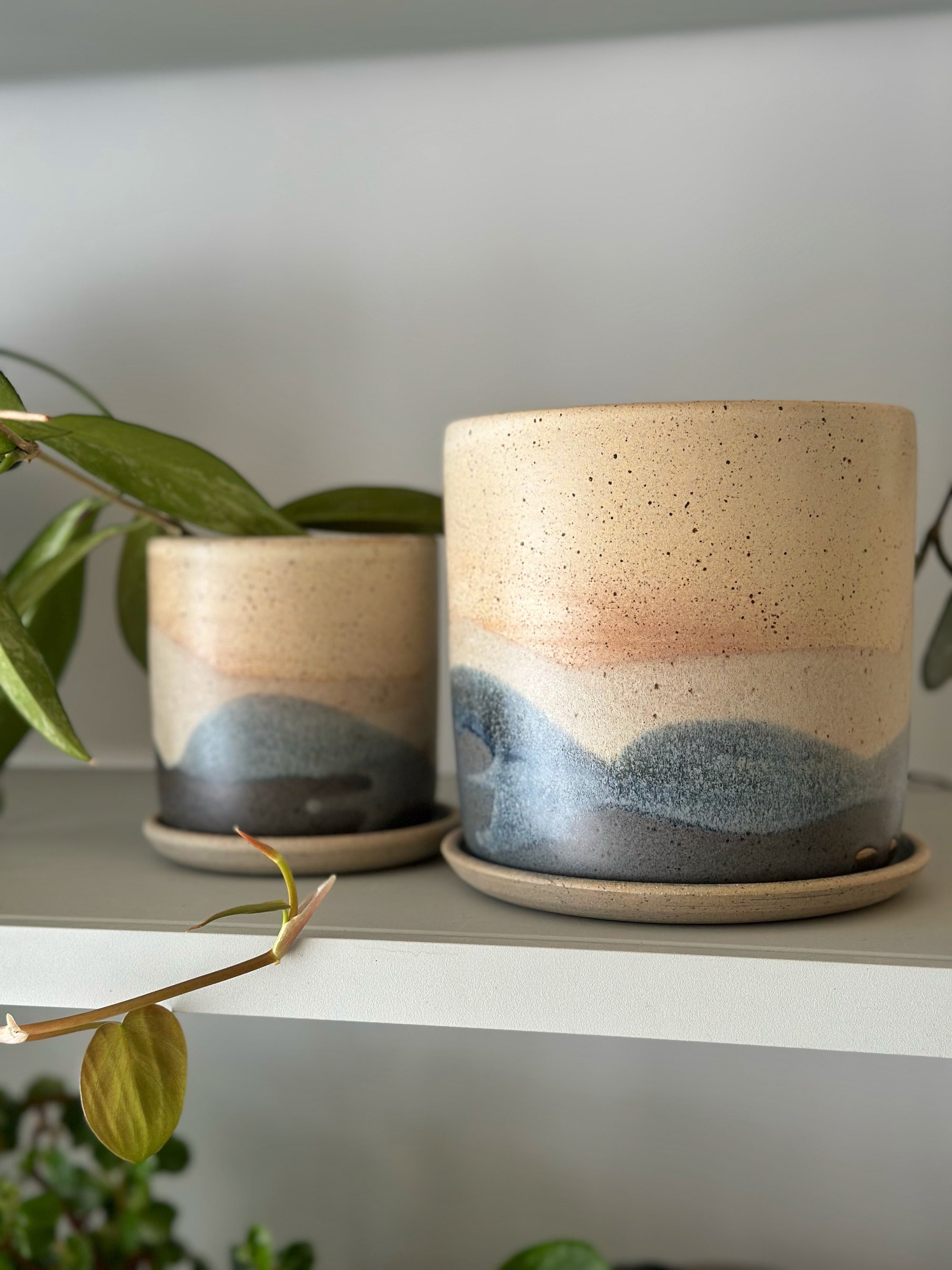 Pacific Landscape Planter by Arcadia Scott