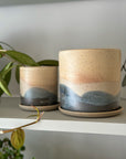 Pacific Landscape Planter by Arcadia Scott
