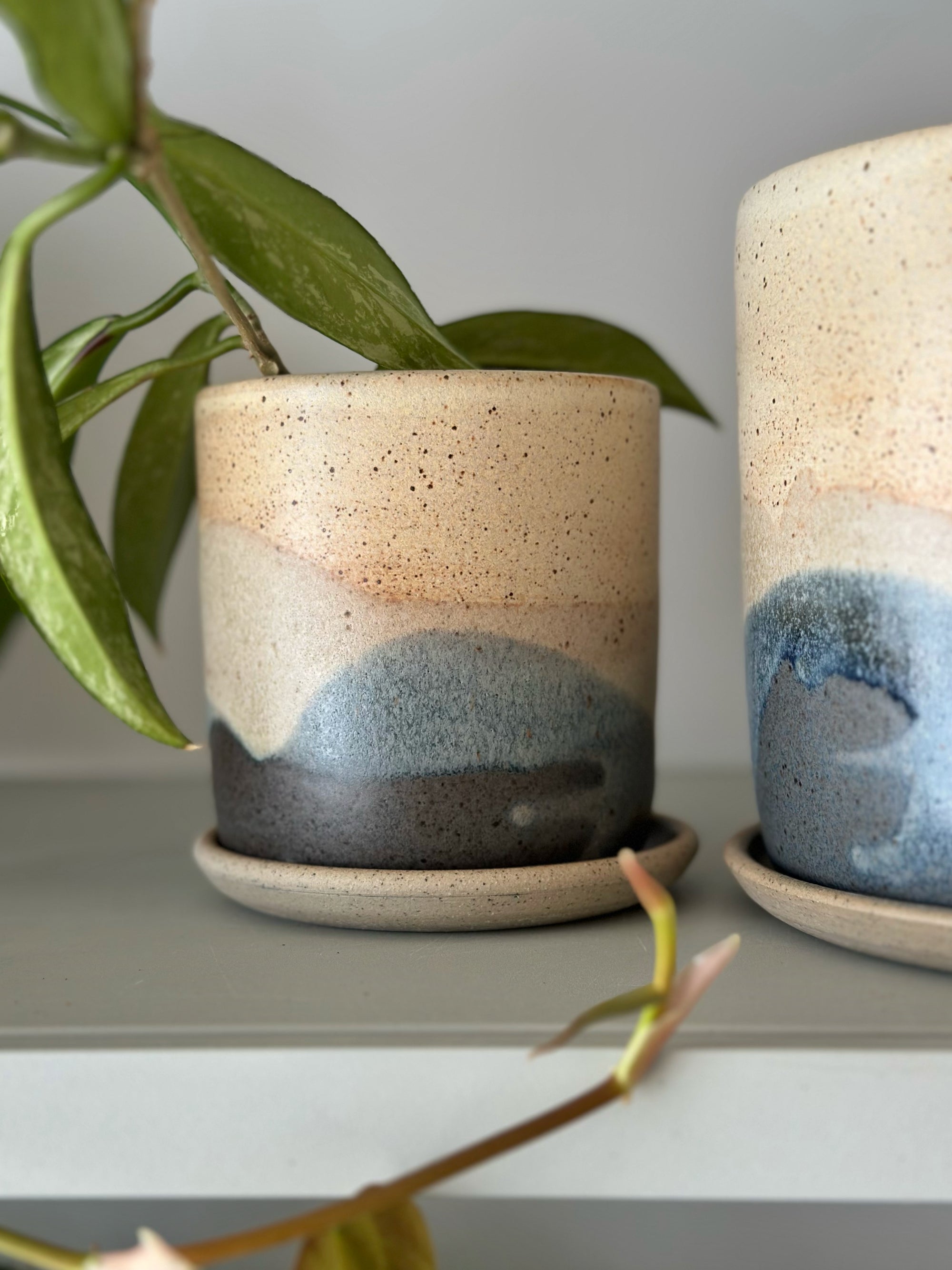 Pacific Landscape Planter by Arcadia Scott