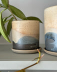 Pacific Landscape Planter by Arcadia Scott