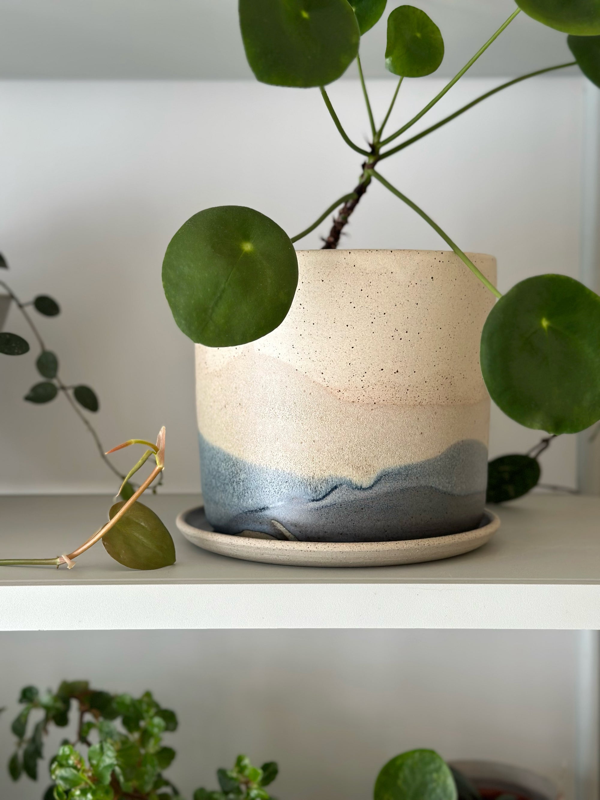 Pacific Landscape Planter by Arcadia Scott