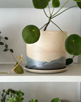 Pacific Landscape Planter by Arcadia Scott