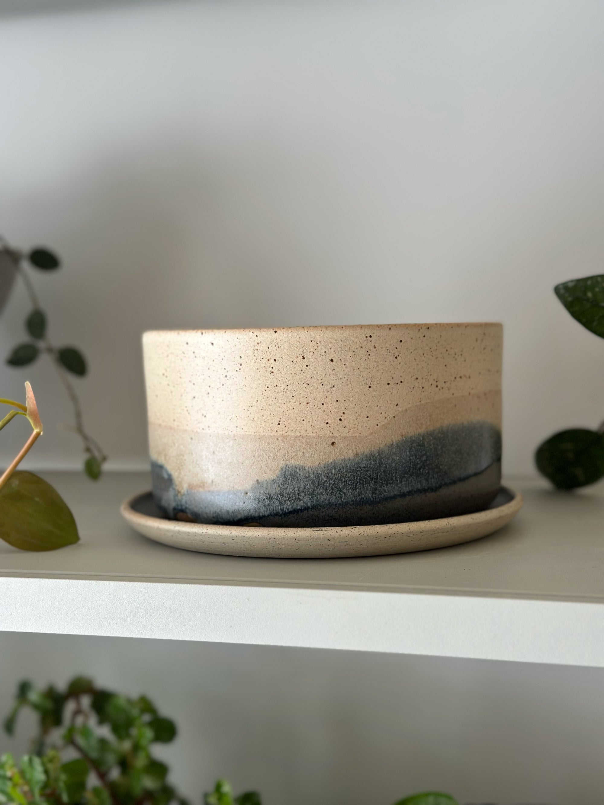 Pacific Landscape Planter by Arcadia Scott