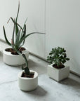 CUBIC Planter
