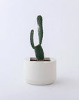 ROUND Planter