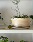 Sirocco Landscape Planter by Arcadia Scott