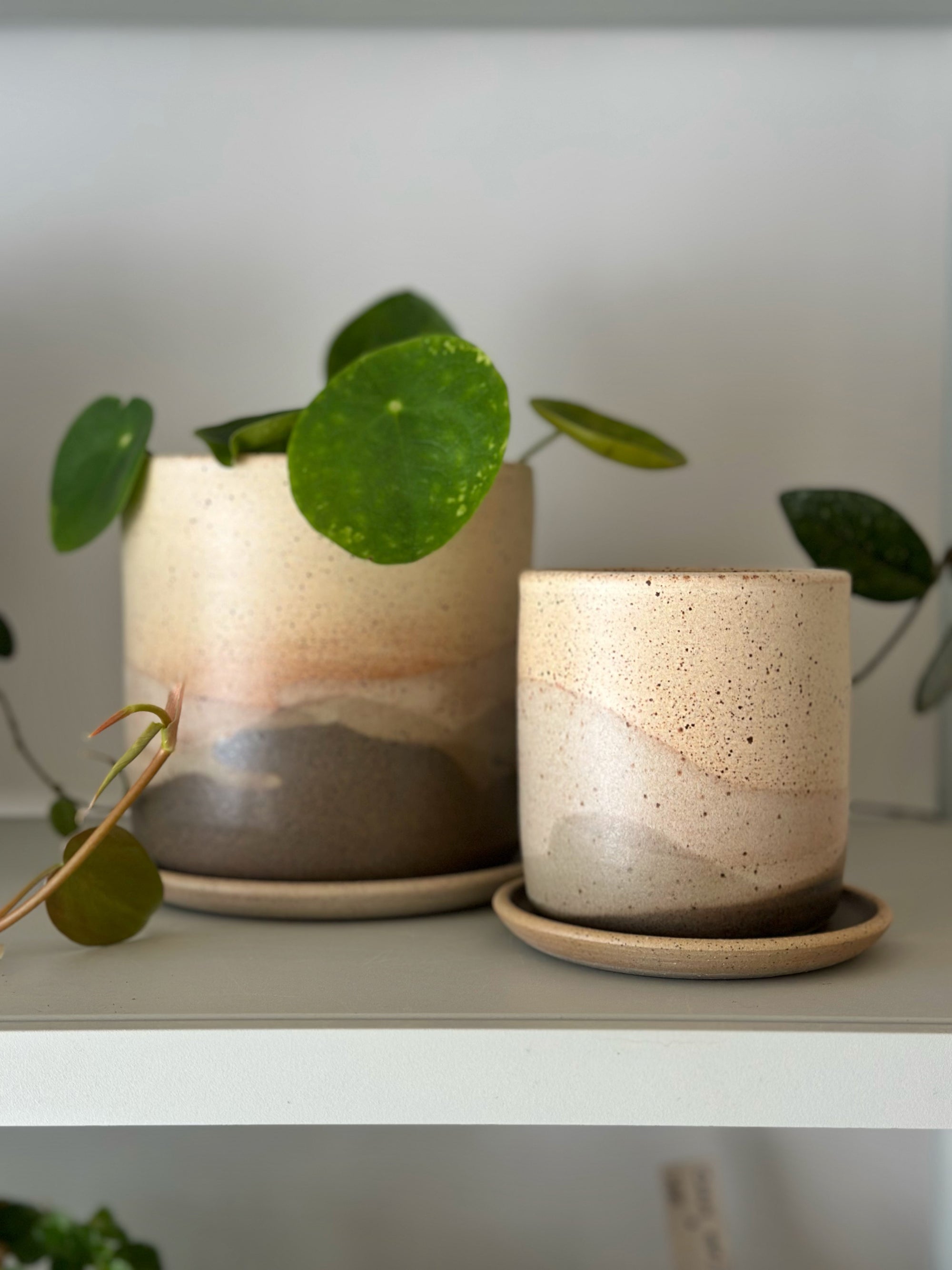 Sirocco Landscape Planter by Arcadia Scott