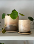 Sirocco Landscape Planter by Arcadia Scott