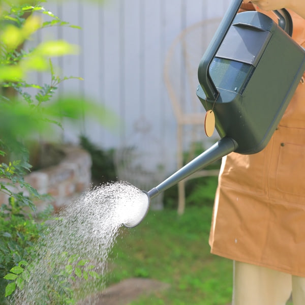 6L Garden Watering Can by Royal Gardener's Club