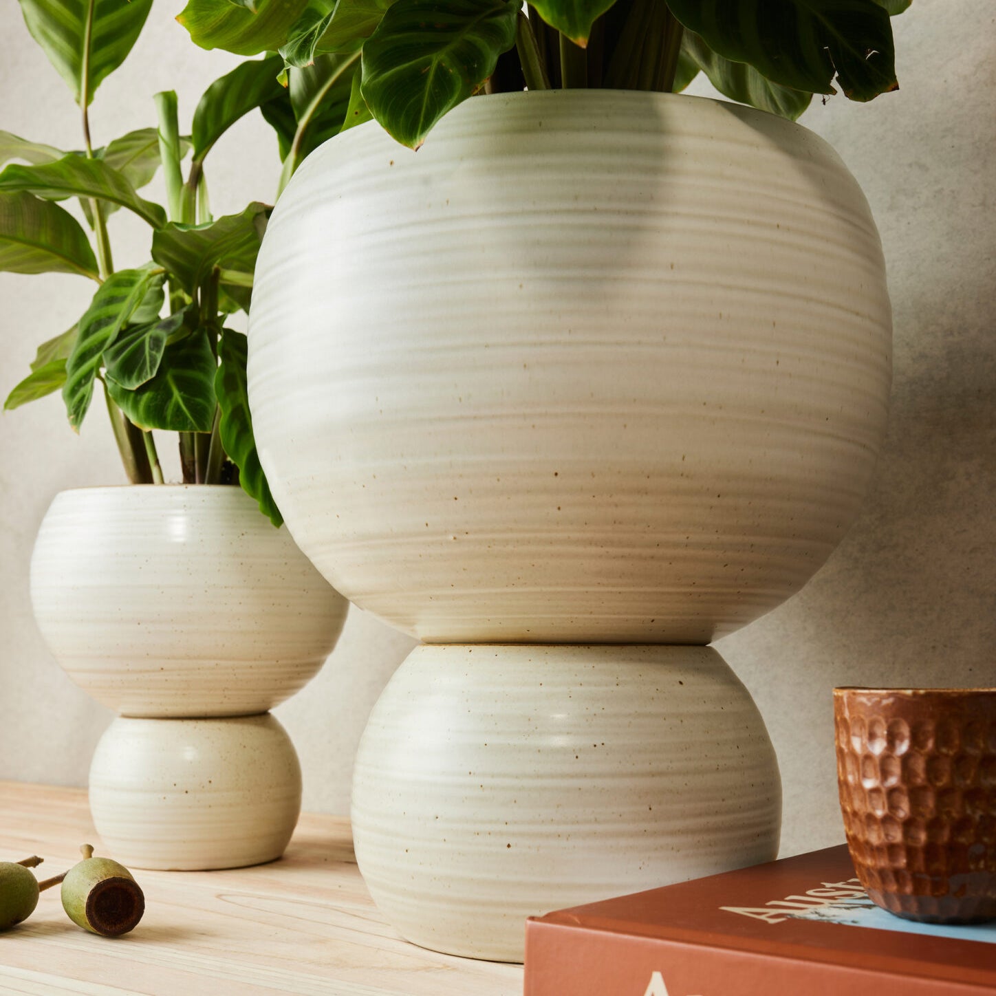 plant pots australia Spherical Plant Pots by Angus & Celeste