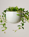 Spherical Hanging Planter by Angus & Celeste