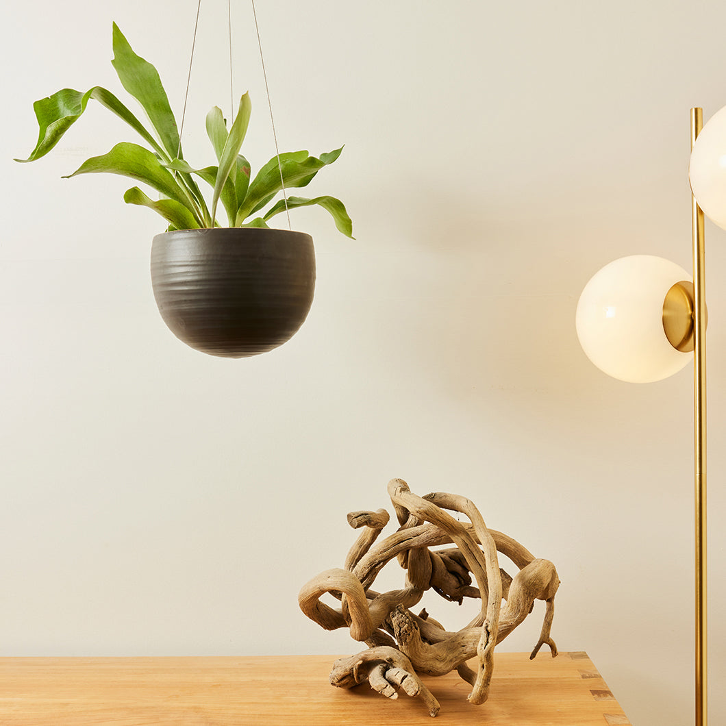 Spherical Hanging Planter by Angus & Celeste