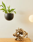 Spherical Hanging Planter by Angus & Celeste