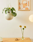 Spherical Hanging Planter by Angus & Celeste