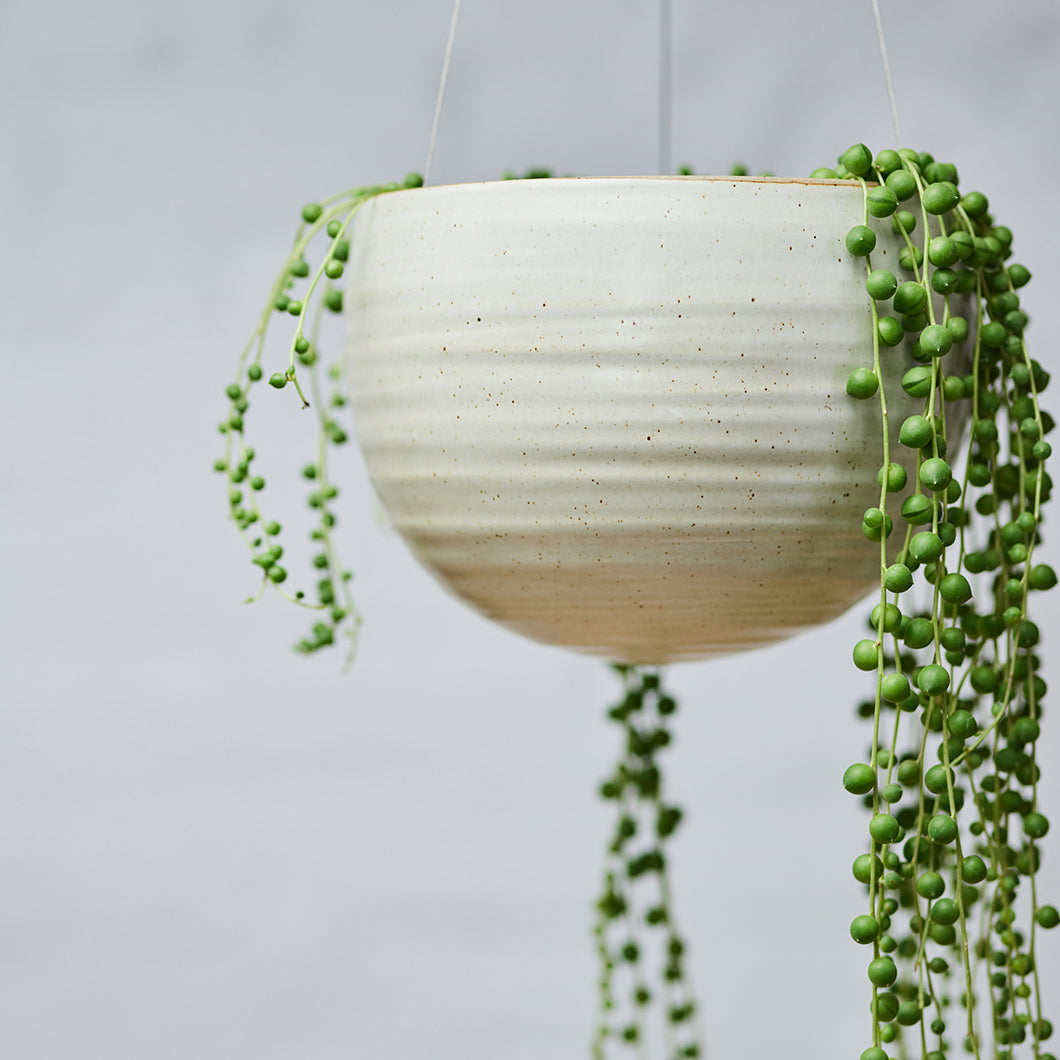 Spherical Hanging Planter by Angus & Celeste