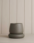 Cloud Planter in Forest Green by Robert Gordon