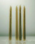 The Asparagus Bunch in Ivory - 4 Tapered Candles by Maison Balzac