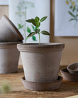 Flora Planter by Bergs Potter