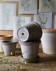 Flora Planter by Bergs Potter