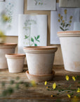 Flora Planter by Bergs Potter