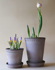 Helena Planter by Bergs Potter