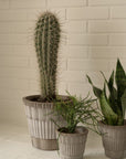 Atlas Planter by Bergs Potter