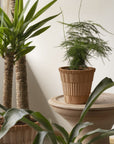 Atlas Planter by Bergs Potter