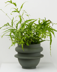 Bud Planter by Capra Designs