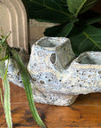 Dang Fango Planter on plinth by Buzzby & Fang