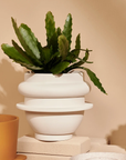 Bud Planter by Capra Designs