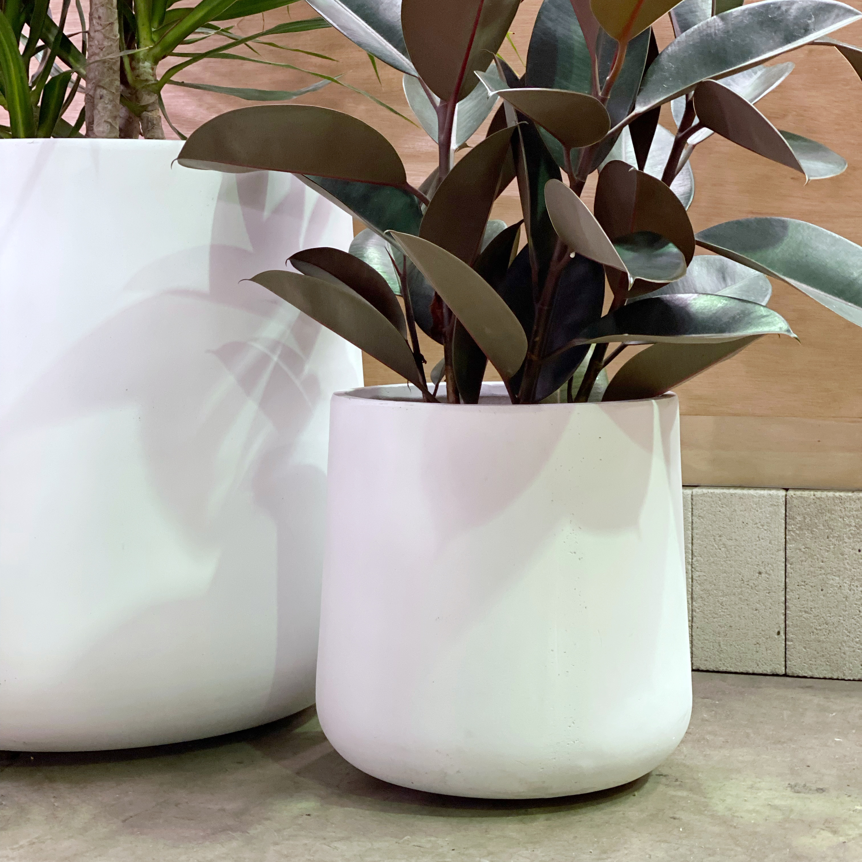 large white plant pots sale Curved Tapered Planter in White – THE PLANT SOCIETY