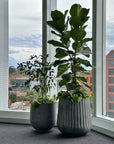 Fluted Curved Tapered Planter in Cement Grey