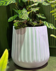 Fluted Curved Tapered Planter in White